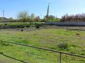 Elan №6058889 - Neftçala, Neftçala, 14 sot