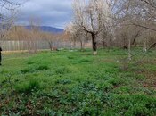 Объявление №6058956 - Исмаиллы, Исмаиллы, 11.6 сот