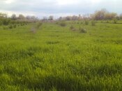 Объявление №6059037 - Хачмаз, Хачмаз, 96 сот