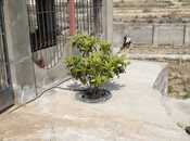 Объявление №6059159 - Сумгаит, Сумгаит, 1-комн., 30 м²