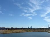 Объявление №6059340 - Баку, пос. Ени Ясамал, 2-комн., 48.5 м², 11/14 этаж