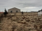 Объявление №6059389 - Баку, пос. Пиршаги, 7 сот