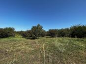 Объявление №6059513 - Габала, Габала, 50 сот