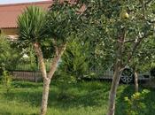 Сдаётся 5-комн. дом/дача 300 м², пос. Тюркан, photo 4 from 8