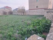 Elan №6059760 - Bakı, Saray q., 10 sot