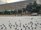 Elan №6059769 - Bakı, Nizami m., 3 otaqlı, 65 m², 4/5 mərtəbə