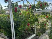 İcarəyə verilir 7 otaqlı həyət evi/bağ evi 250 m², Novxanı q., photo 7 from 8