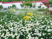 Satılır 5 otaqlı həyət evi/bağ evi 400 m², photo 3 from 8