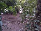 Сдаётся  участок 4 сот, м. Азадлыг проспекти, photo 3 from 8