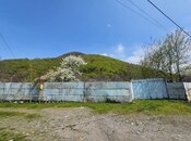 Elan №6060508 - Qəbələ, Qəbələ, 8 sot