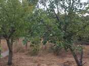 Satılır 6 otaqlı həyət evi/bağ evi 250 m², Novxanı q., photo 5 from 8