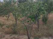 Satılır 6 otaqlı həyət evi/bağ evi 250 m², Novxanı q., photo 4 from 8