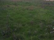 Продаётся  участок 10 сот, пос. Гала, photo 2 from 6