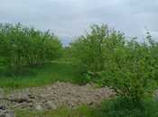 Объявление №6060673 - Хачмаз, Хачмаз, 1.3 сот