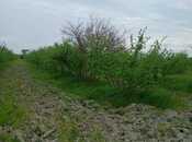 Satılır  torpaq 1.3 sot, Xaçmaz r., photo 3 from 7