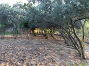 Продаётся 5-комн. дом/дача 240 м², пос. Новханы, photo 3 from 8