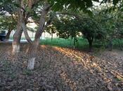 Продаётся 5-комн. дом/дача 240 м², пос. Новханы, photo 4 from 8