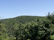 Объявление №6057450 - Шабран, Шабран, 27 сот