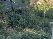 İcarəyə verilir 4 otaqlı həyət evi/bağ evi 95 m², Novxanı q., photo 4 from 8