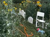 İcarəyə verilir 4 otaqlı həyət evi/bağ evi 95 m², Novxanı q., photo 8 from 8