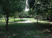 Elan №6061947 - İsmayıllı, İsmayıllı, 20 sot