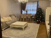 Elan №6062094 - Bakı, 28 May m., 2 otaqlı, 117 m², 4/11 mərtəbə