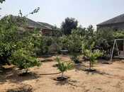 Elan №6062173 - Bakı, Binə q., 4 sot