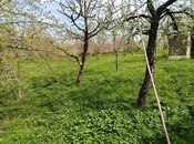 Объявление №6062176 - Губа, Губа, 5 сот