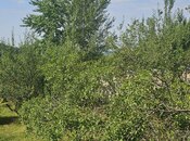 Продаётся 5-комн. дом/дача 200 м², photo 6 from 8