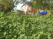 Объявление №6062439 - Евлах, Евлах, 3-комн., 120 м²