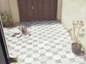 İcarəyə verilir 2 otaqlı həyət evi/bağ evi 70 m², Masazır q., photo 7 from 8