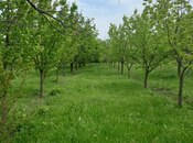 Объявление №6057635 - Барда, Барда, 40 сот