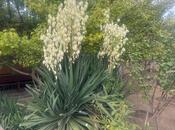 Продаётся 5-комн. дом/дача 220 м², пос. Новханы, photo 4 from 8