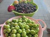 Продаётся 6-комн. дом/дача 400 м², пос. Новханы, photo 6 from 8