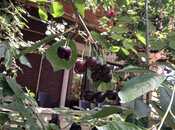 Продаётся 6-комн. дом/дача 400 м², пос. Новханы, photo 7 from 8