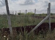 Объявление №6063261 - Шемаха, Шемаха, 12 сот