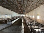 Объявление №6063379 - Ширван, Ширван, 1700 м²