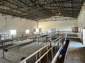 Продаётся  объект 1 700 м², photo 2 from 8