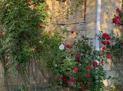 5 otaqlı həyət evi/bağ evi - Quba - 246 m²