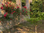 Объявление №6063400 - Губа, Губа, 5-комн., 246 м²