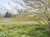 Продаётся  участок 12 сот, пос. Нардаран, photo 5 from 5
