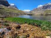 Участок - Гусар - 20 сот
