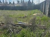 Продаётся  участок 12 сот, пос. Бильгях, photo 2 from 4