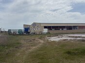 Продаётся  участок 255 сот, Абшеронcкий  р., photo 4 from 6