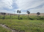 Продаётся  участок 255 сот, Абшеронcкий  р., photo 5 from 6