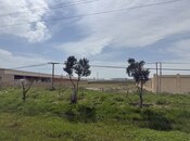 Продаётся  участок 255 сот, Абшеронcкий  р., photo 1 from 6