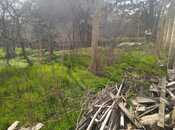 Satılır  torpaq 6 sot, Badamdar q., photo 1 from 4