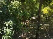 Satılır  torpaq 7.5 sot, M.Ə.Rəsulzadə q., photo 6 from 8