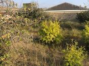 Продаётся  участок 12 сот, пос. Нардаран, photo 5 from 8