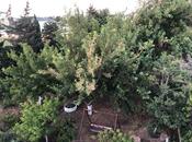 Сдаётся 5-комн. дом/дача 190 м², пос. Новханы, photo 6 from 8